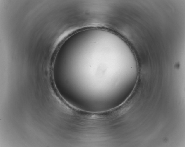 X0000090451412200707272206