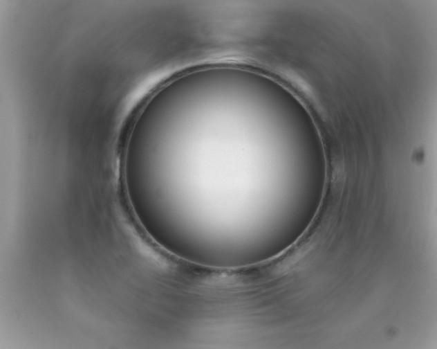 X0000090451414200707272206