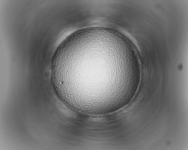 X0000090451415200707272206