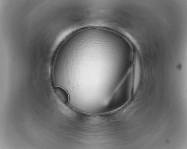 X0000090451416200707272206