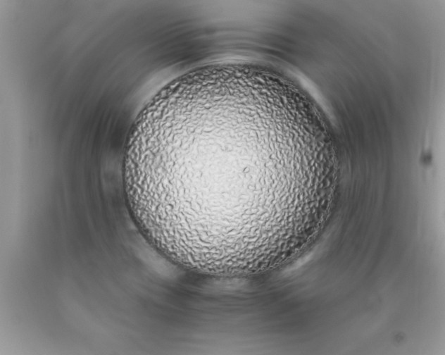 X0000090451417200707272206