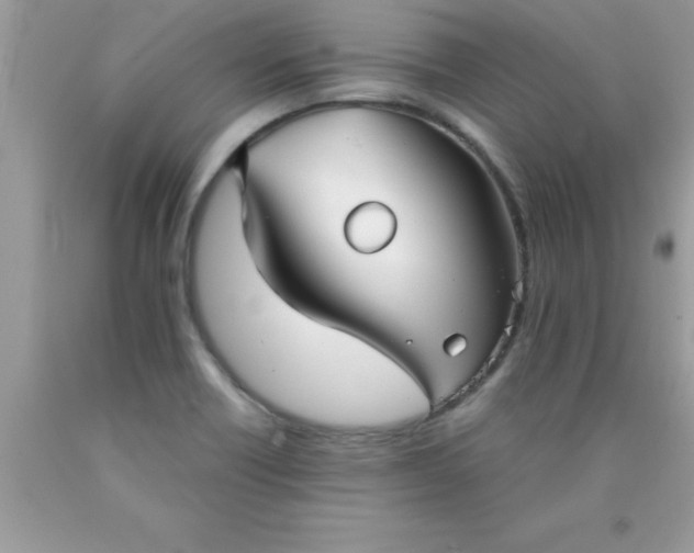 X0000090451418200707272206