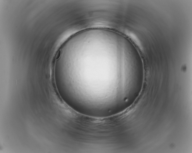 X0000090451419200707272206