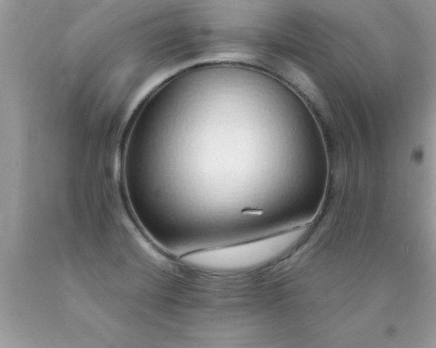 X0000090451420200707272206