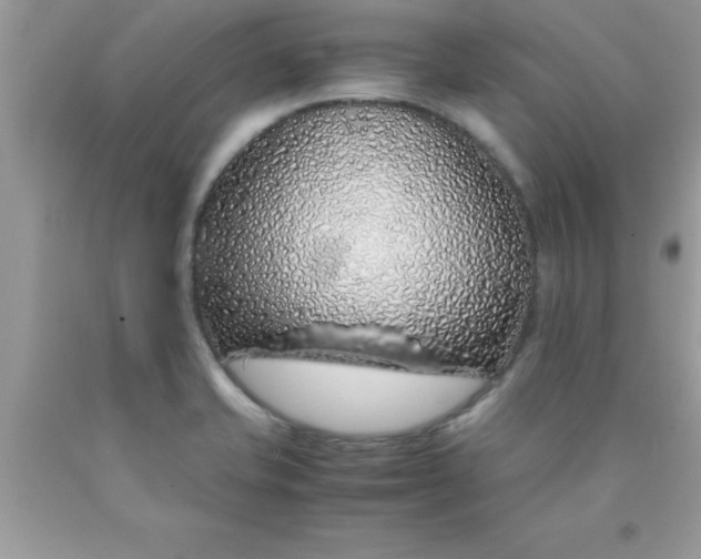 X0000090451421200707272206