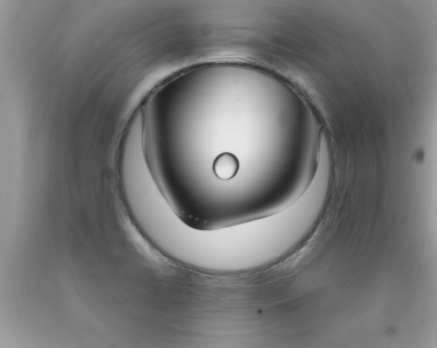 X0000090451422200707272206