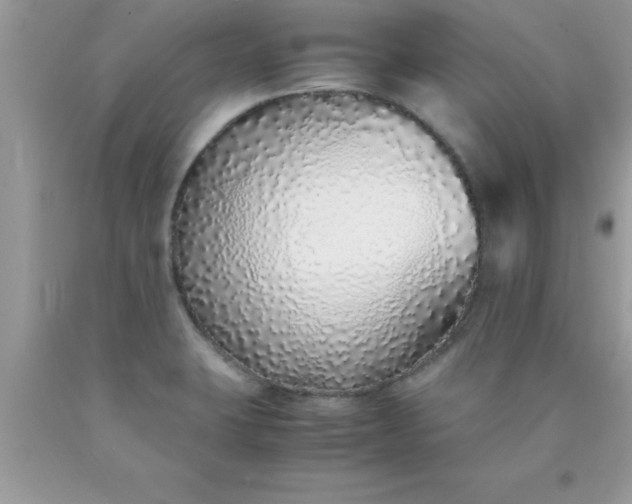 X0000090451423200707272206