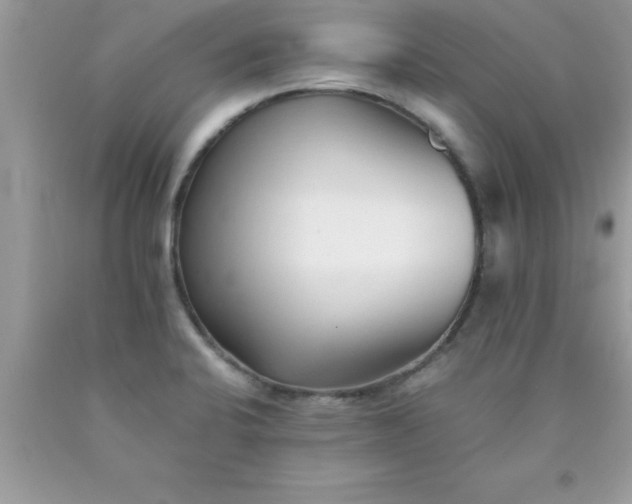 X0000090451424200707272206