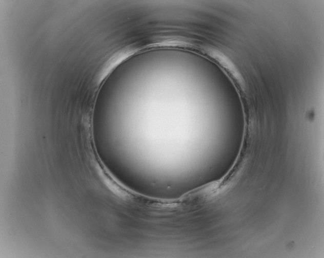 X0000090451425200707272206