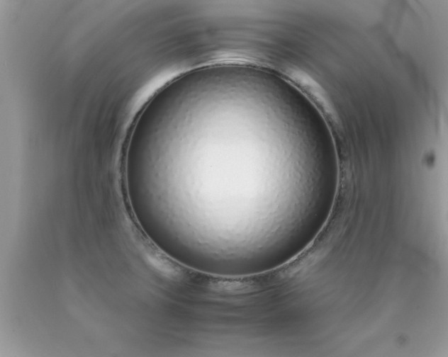 X0000090451427200707272206