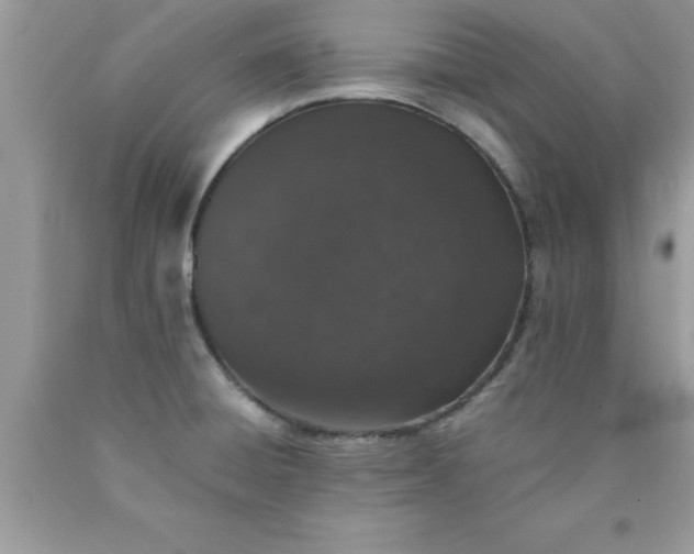 X0000090451428200707272206