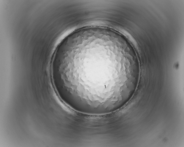 X0000090451429200707272206