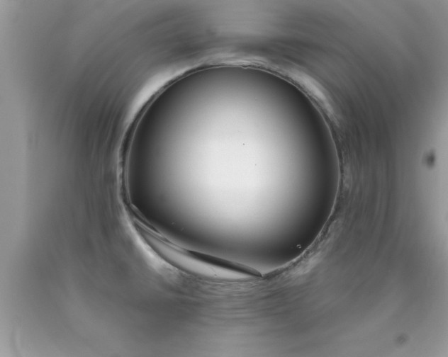 X0000090451430200707272206