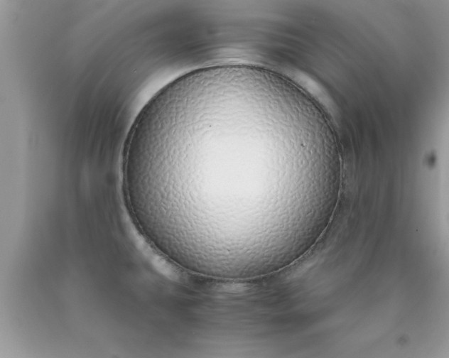 X0000090451431200707272206