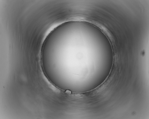 X0000090451432200707272206