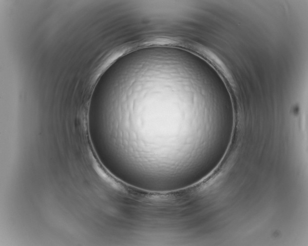 X0000090451433200707272206