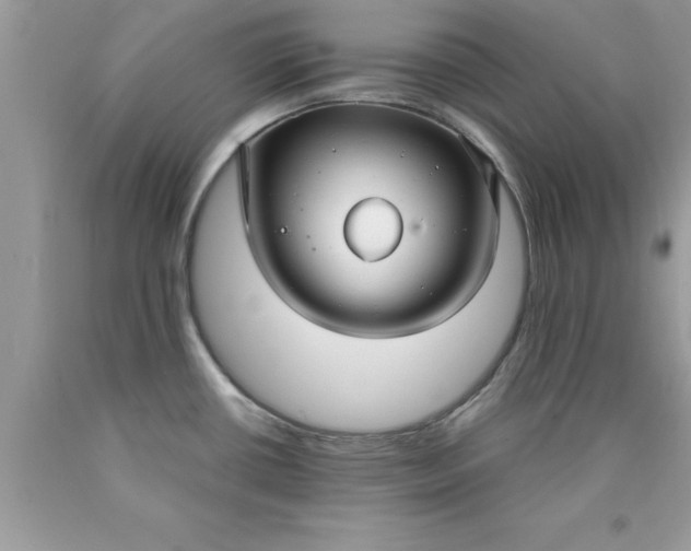 X0000090451434200707272206