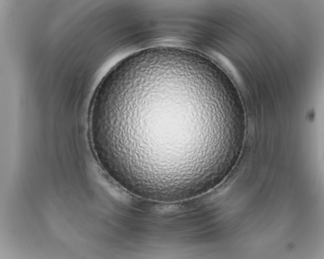 X0000090451435200707272206