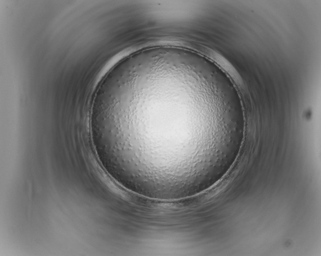 X0000090451436200707272206