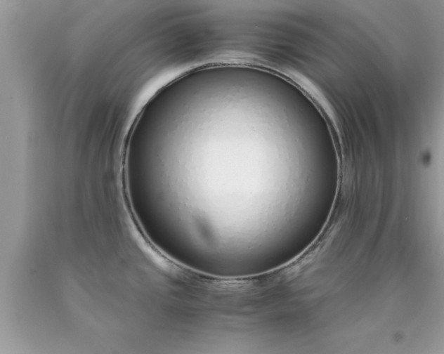 X0000090451437200707272206