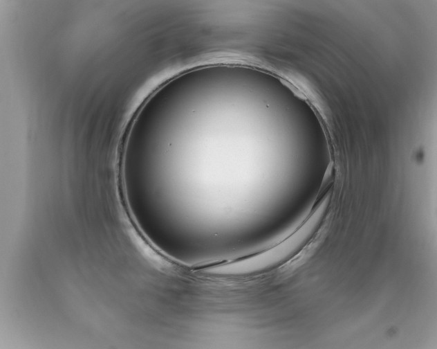 X0000090451438200707272206