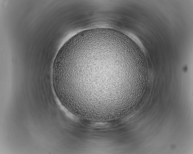 X0000090451439200707272206