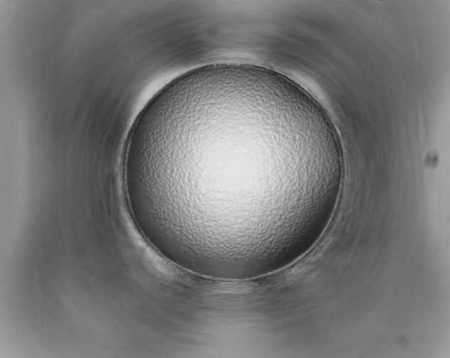 X0000090451440200707272206