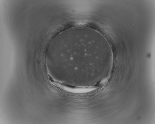 X0000090451441200707272206