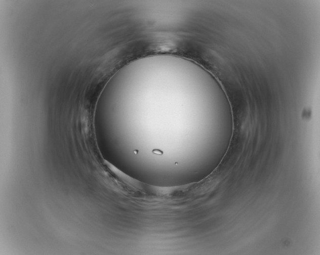 X0000090451442200707272206