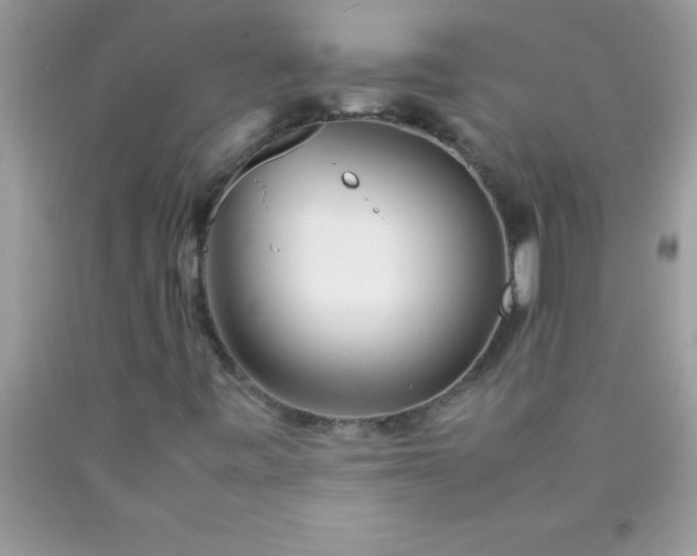 X0000090451443200707272206