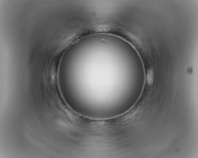 X0000090451444200707272206