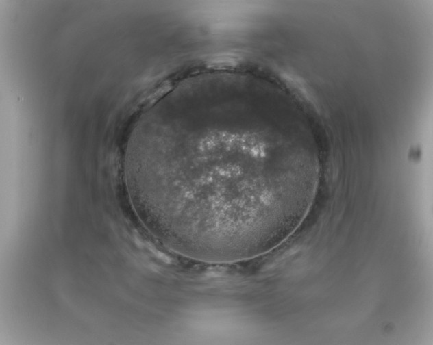 X0000090451445200707272206