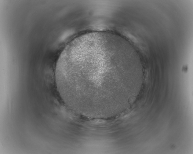 X0000090451446200707272206