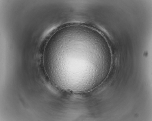 X0000090451448200707272206