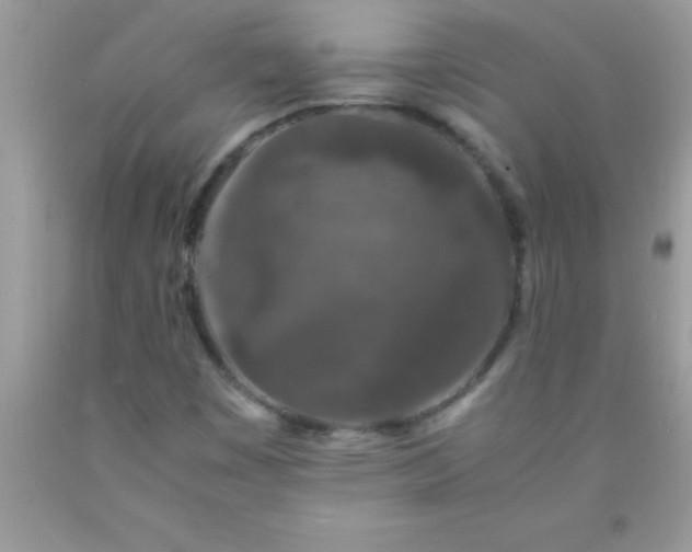 X0000090451449200707272206