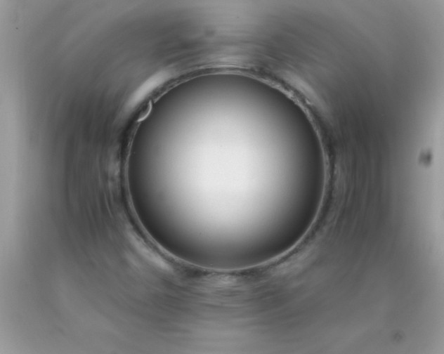 X0000090451450200707272206