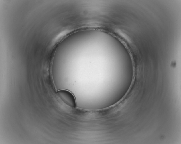 X0000090451451200707272206