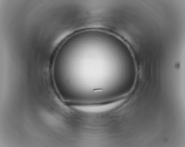 X0000090451452200707272206