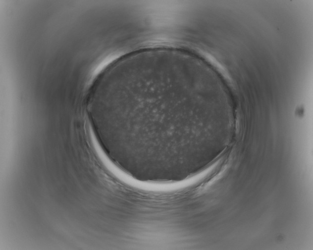 X0000090451453200707272206