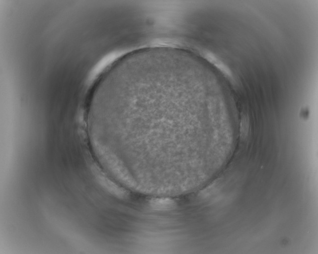 X0000090451454200707272206