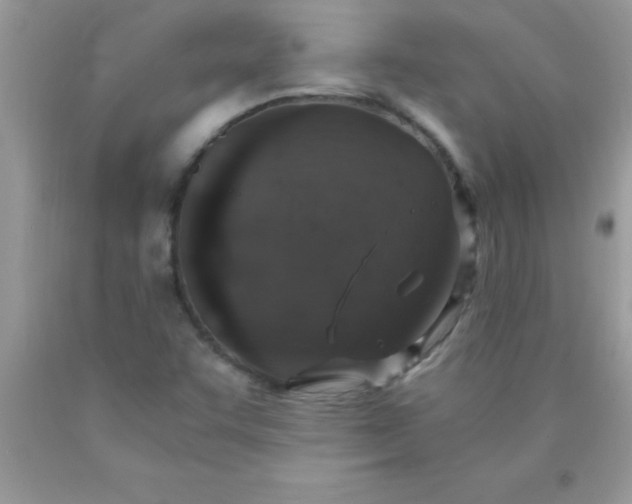 X0000090451455200707272206