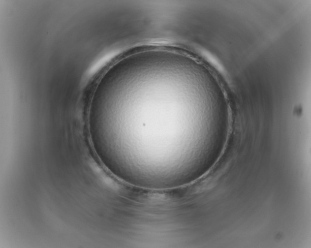 X0000090451456200707272206