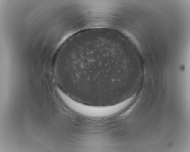 X0000090451457200707272206