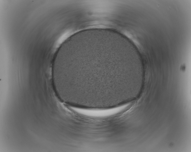 X0000090451459200707272206