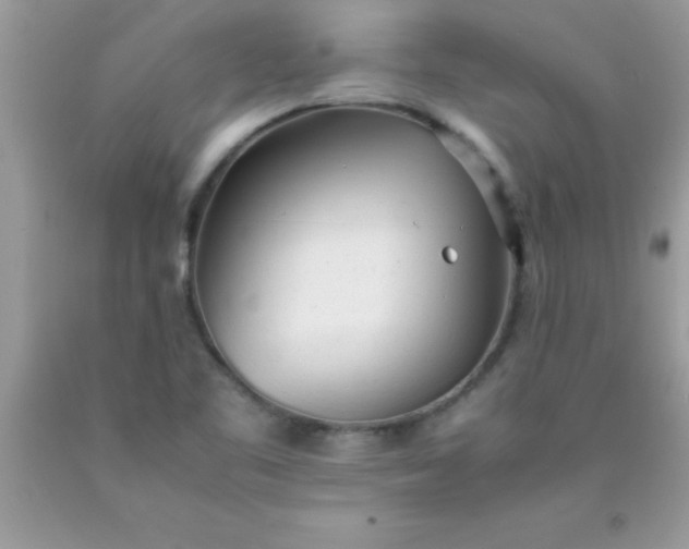 X0000090451461200707272206