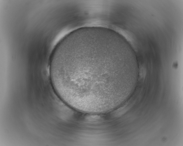 X0000090451462200707272206