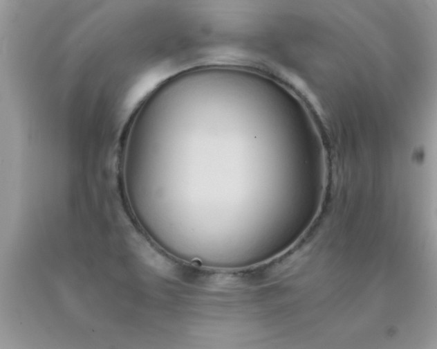 X0000090451463200707272205