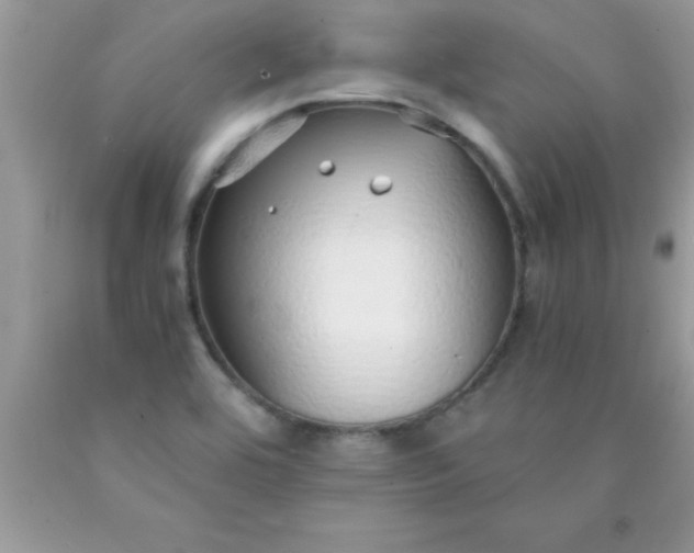 X0000090451464200707272205