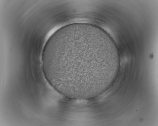 X0000090451466200707272205