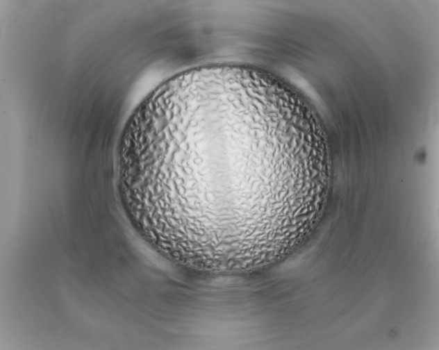 X0000090451467200707272205